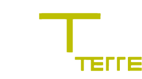 DOM & TERRE Logo
