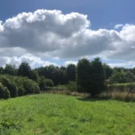Photo d’un terrain verdoyant à Fouesnant Keryon, entouré d’arbres et de haies, idéal pour construire une maison individuelle