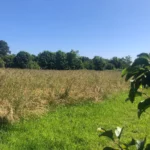 Vue du terrain viabilisé à Bénodet dans le quartier de la Mer Blanche